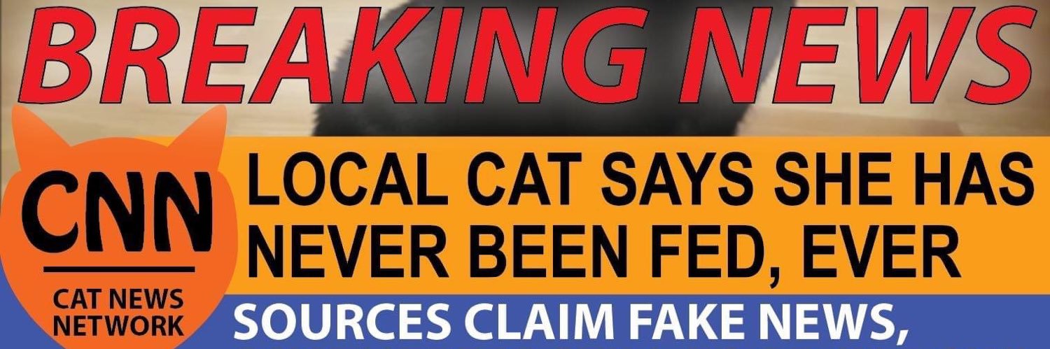 SarahParlin's profile banner image