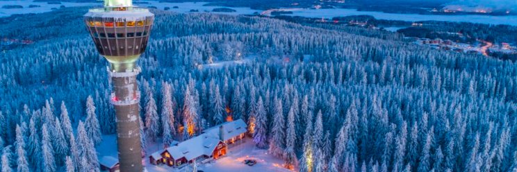 Kauko Karvonen banner