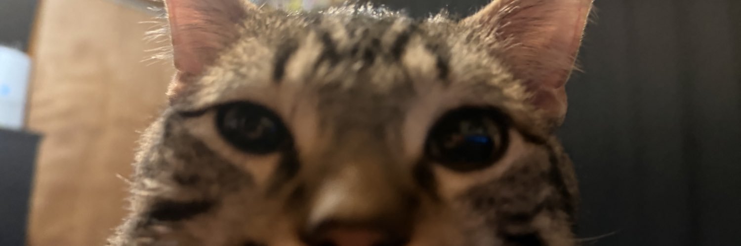 rayjchavis's profile banner image