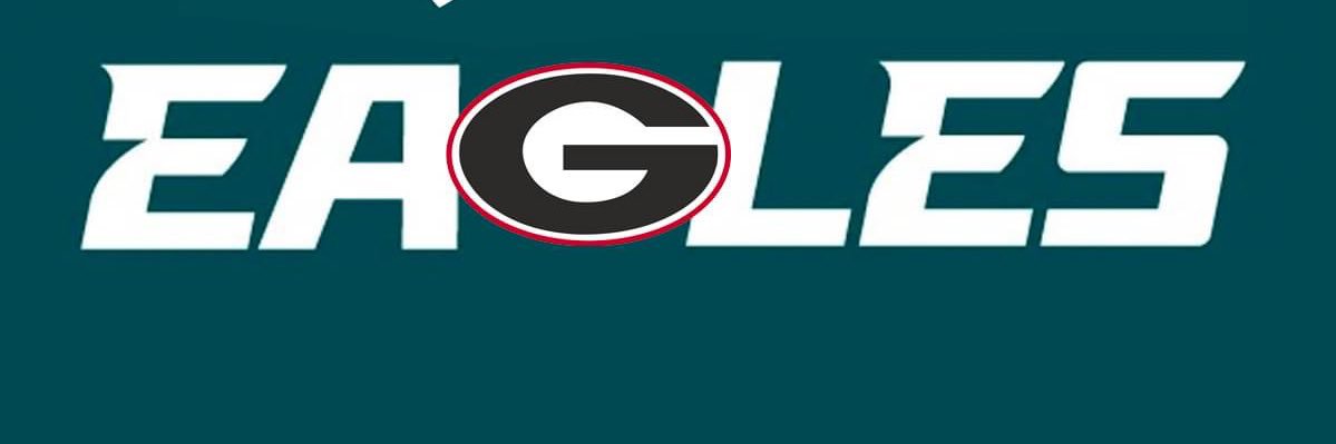 FlyEaglesFly2026 banner