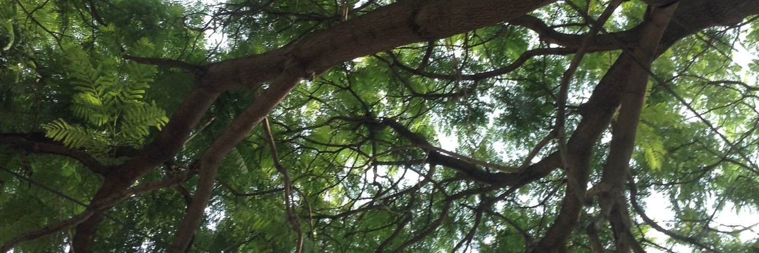 madrecomezon's profile banner image