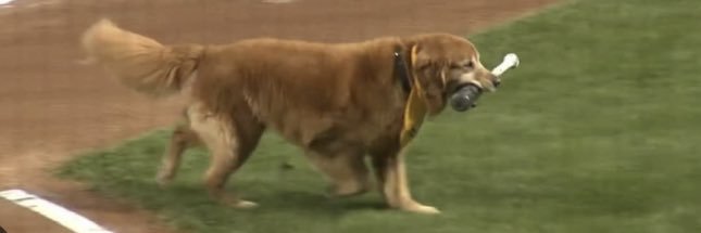 Britton Barthold banner