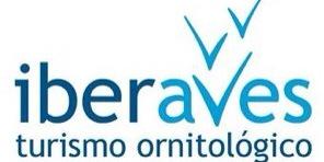 iberaves's profile banner image