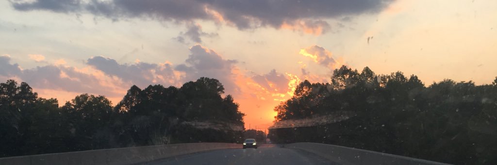 haley shinkle banner