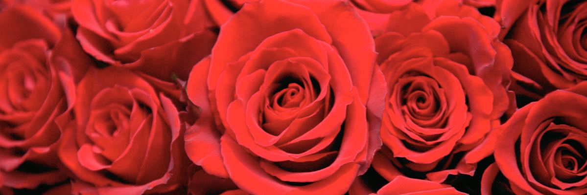 SweetJonesss_'s profile banner image