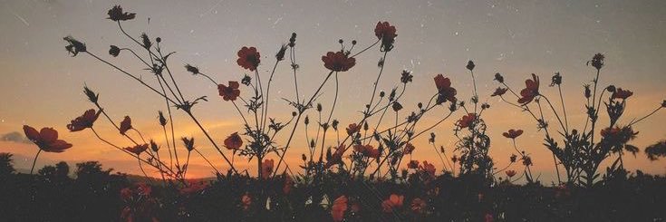 maddyg1997's profile banner image