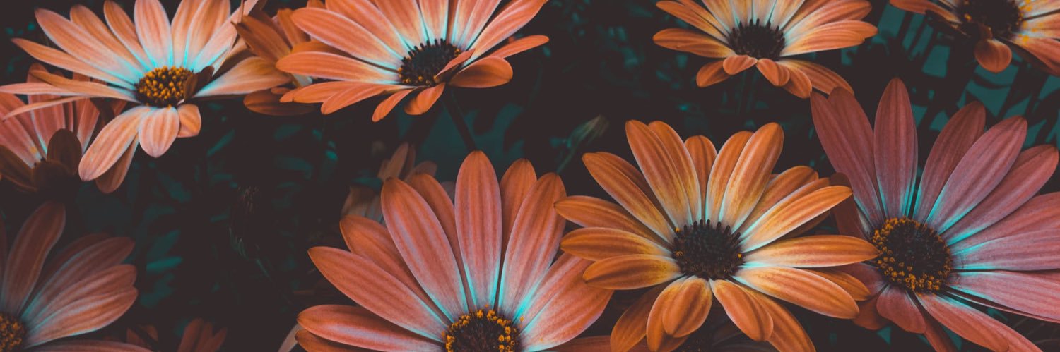 aschneider43's profile banner image