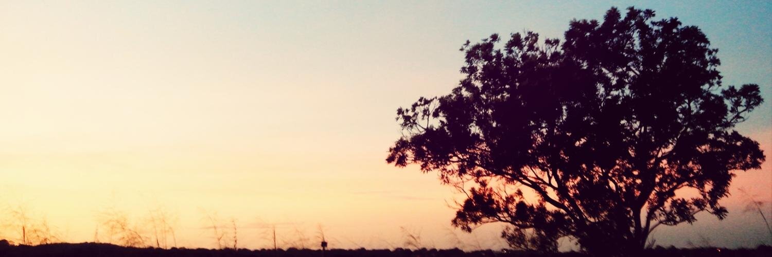 romuloflim's profile banner image
