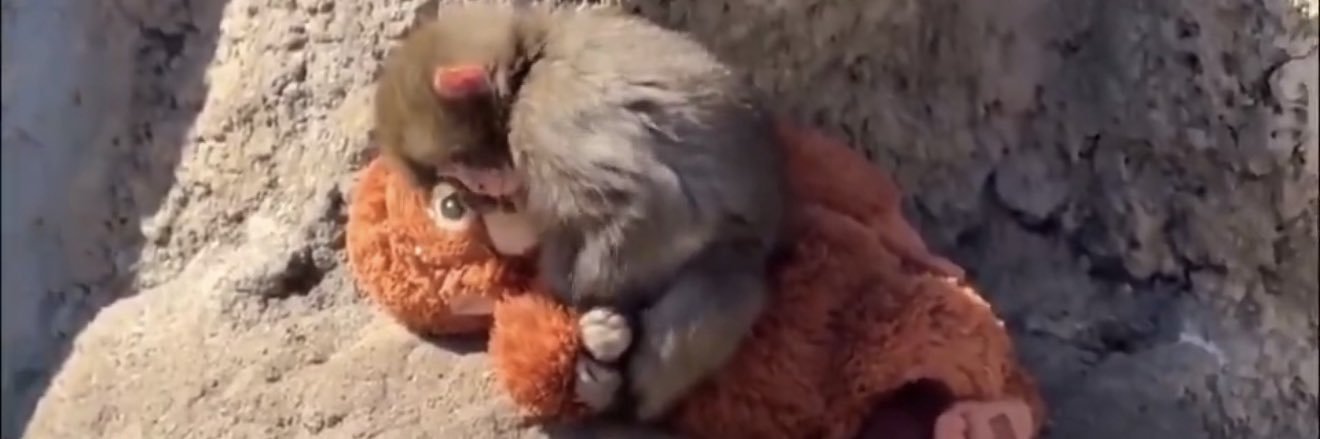 Candidly Tiff banner