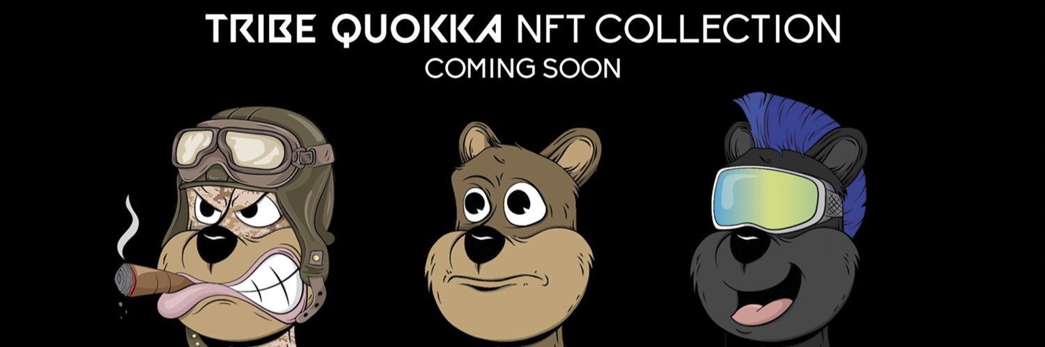 Ferrett13's profile banner image