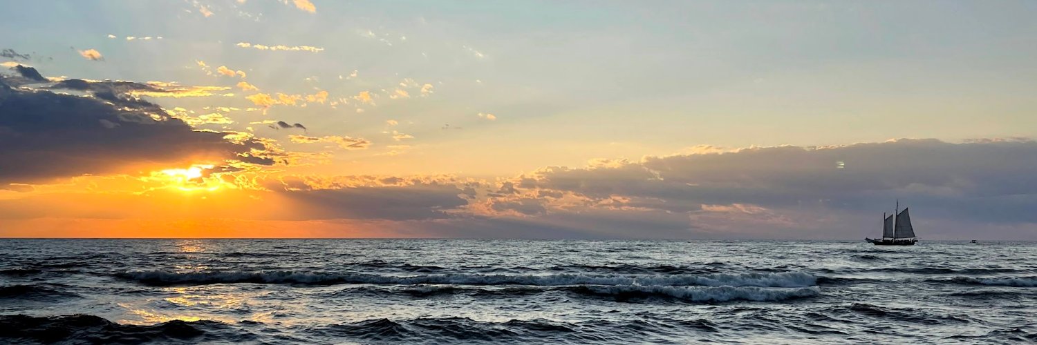 dmnkrr's profile banner image