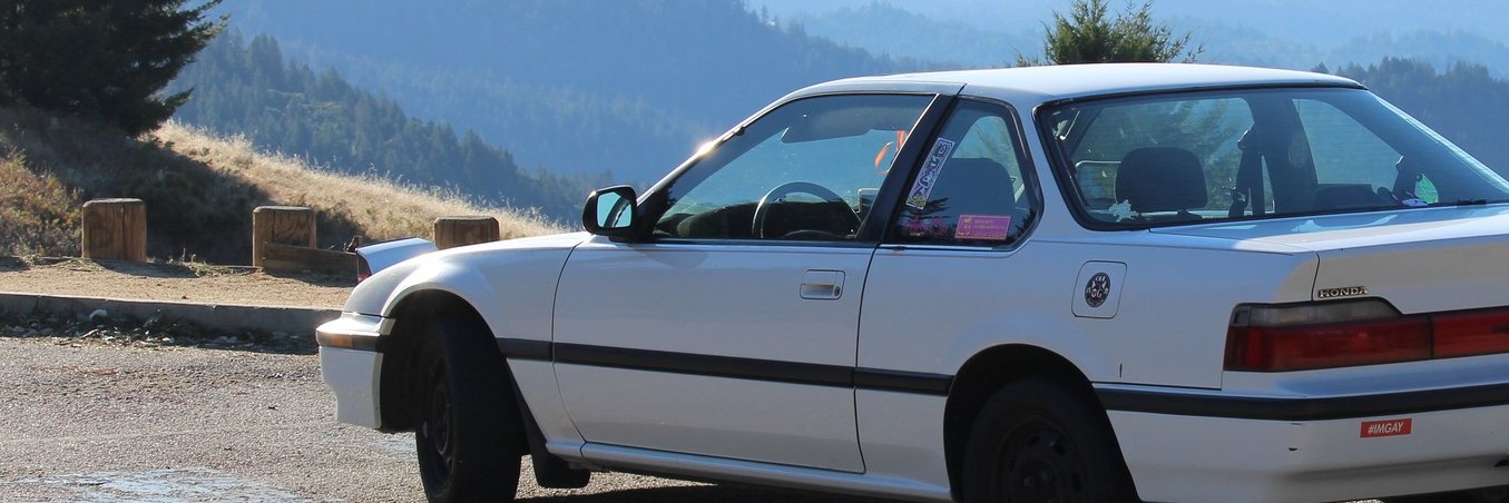 ZoriWuff's profile banner image