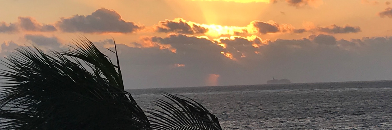 Sed8Doc's profile banner image