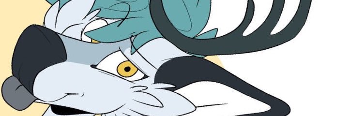 nova banner