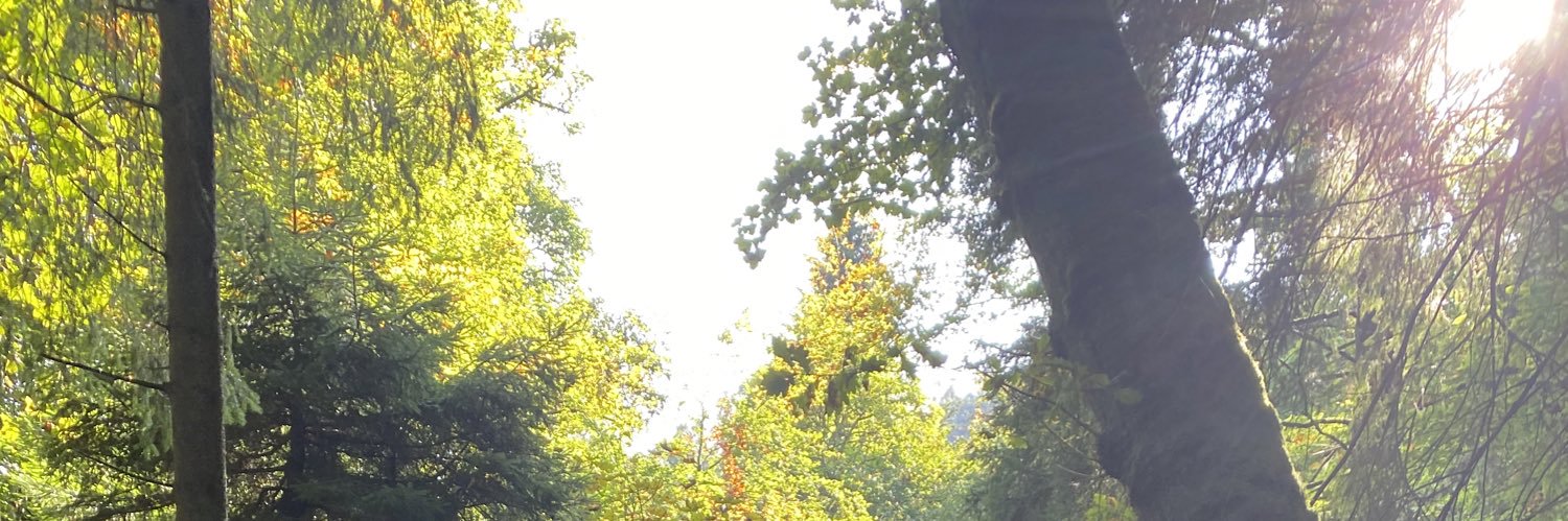 ChrisSammons5's profile banner image