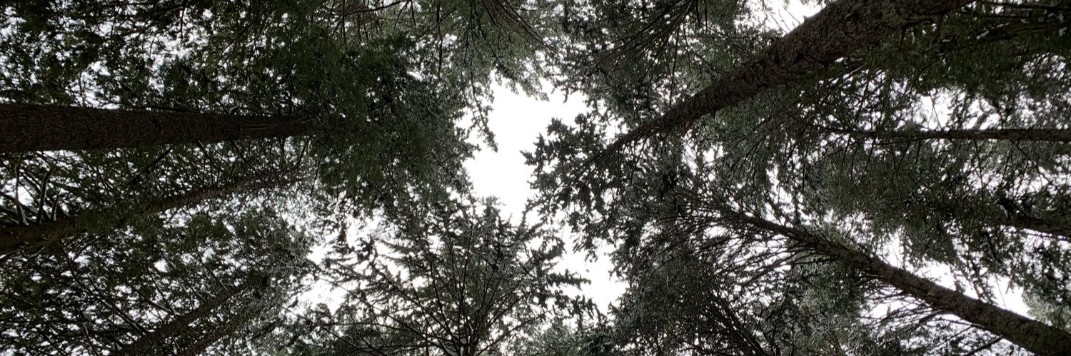 KyleJCormier's profile banner image