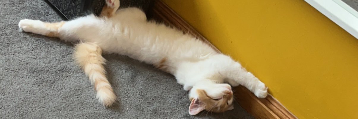 RhonaM8's profile banner image