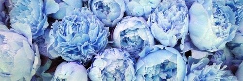 DelfiRodriguez1's profile banner image