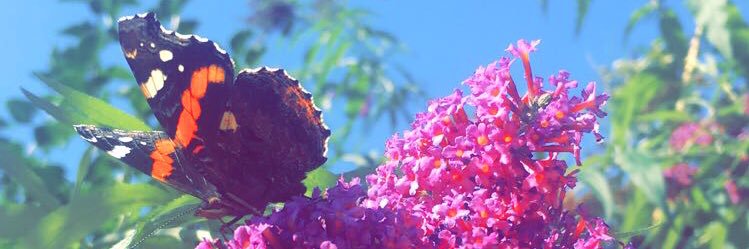 _tamyx's profile banner image