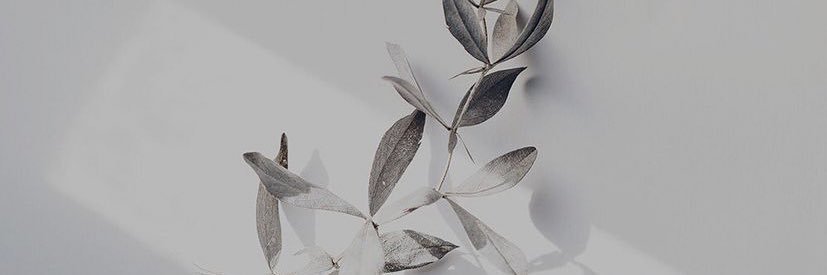 della_ddu's profile banner image