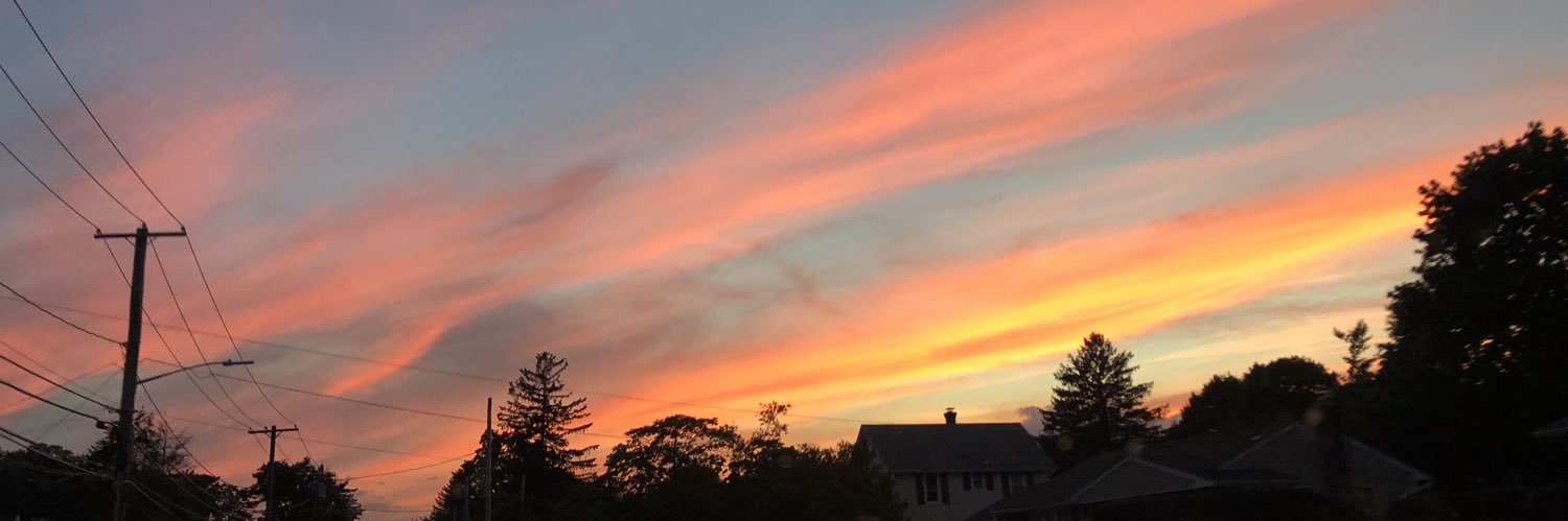 laurenbohll's profile banner image