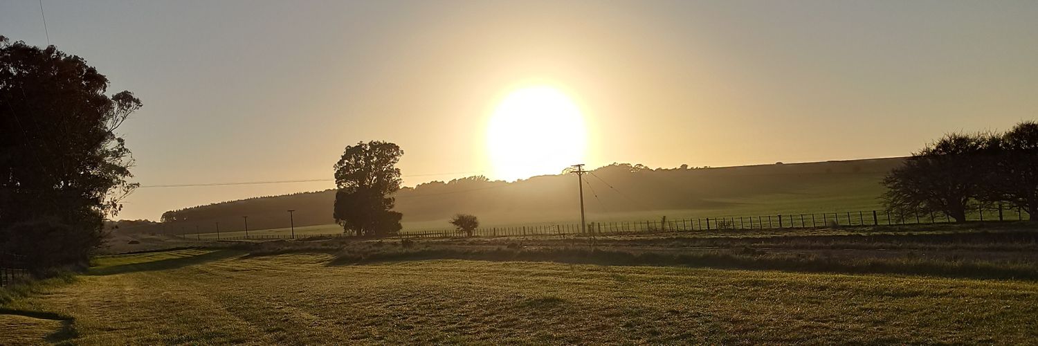 IgnSoria's profile banner image