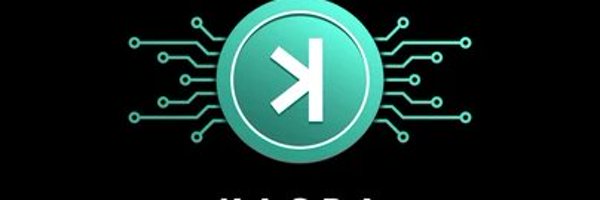 distryder Profile Banner