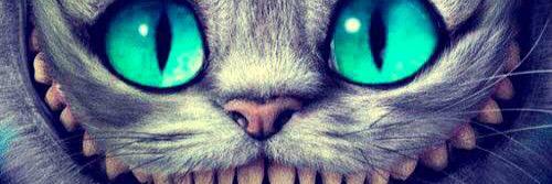 juniior53_'s profile banner image