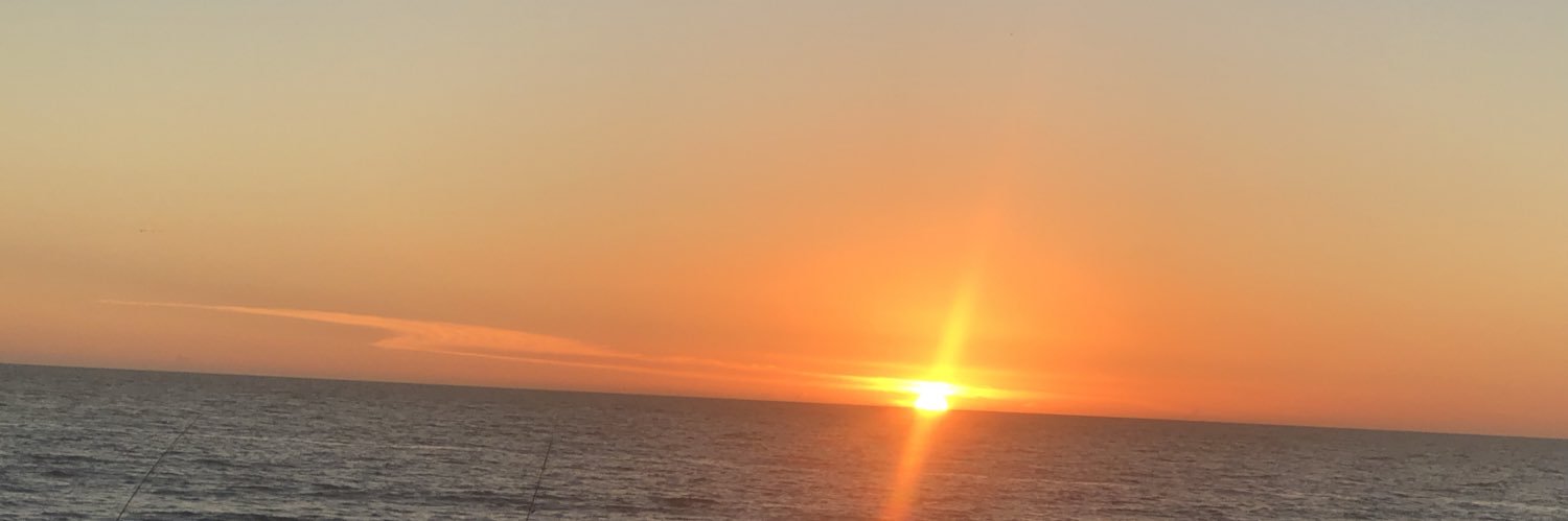 WildAllyson's profile banner image