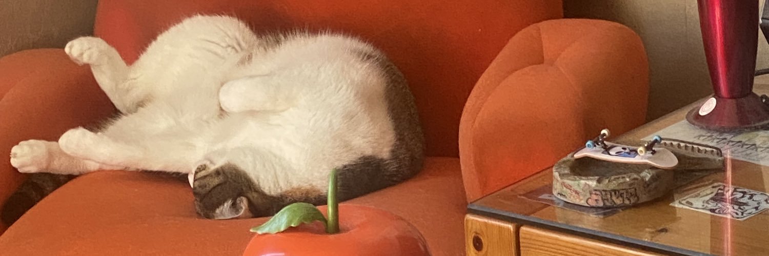 TeuteuSk8's profile banner image