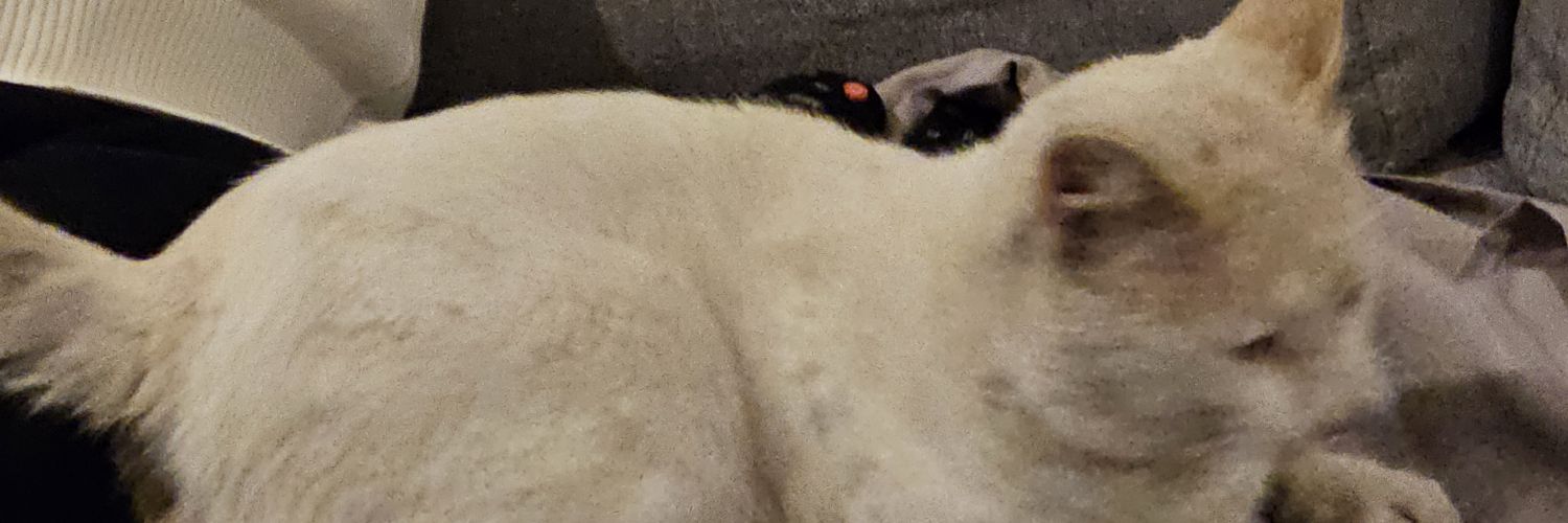 Ariel Díaz™️ 🚘🌐 banner