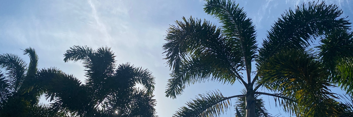 phiamiaaa's profile banner image