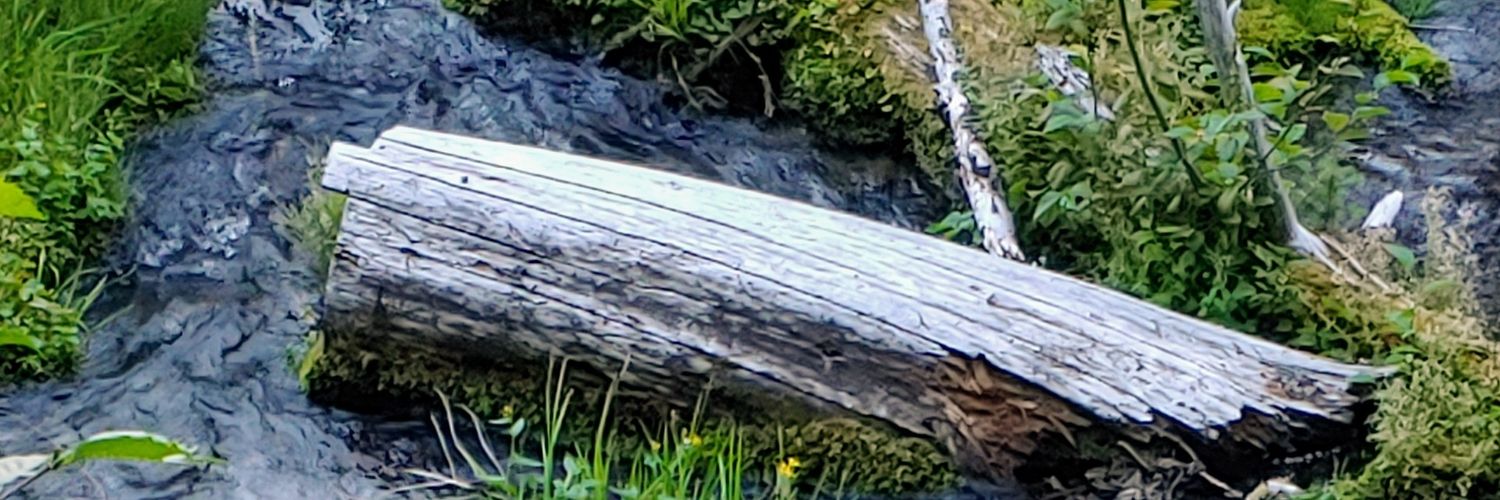 pajoflo9's profile banner image