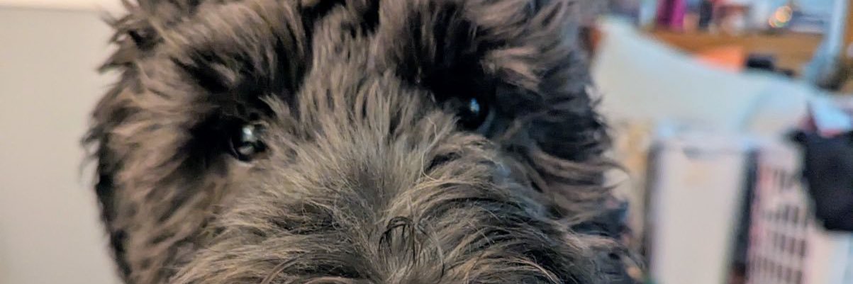Viator152's profile banner image