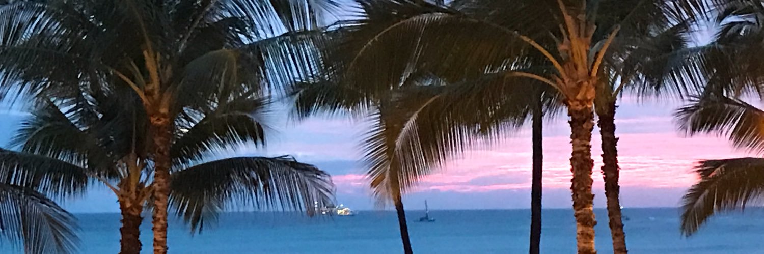 GCallsMeMom's profile banner image