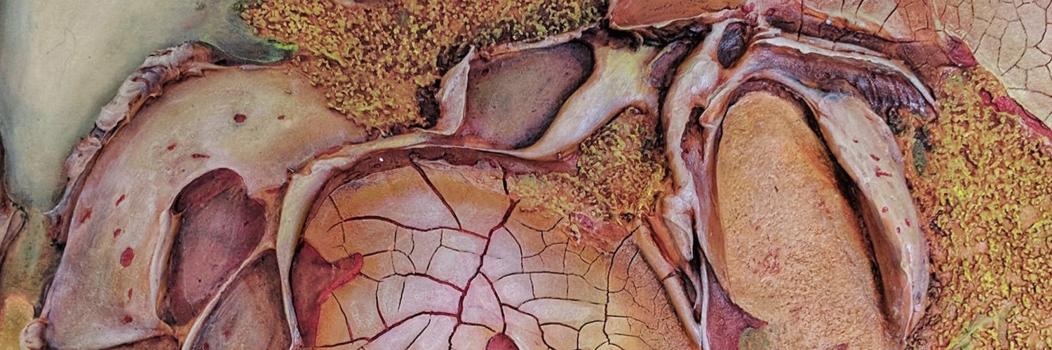 MrJillBody's profile banner image
