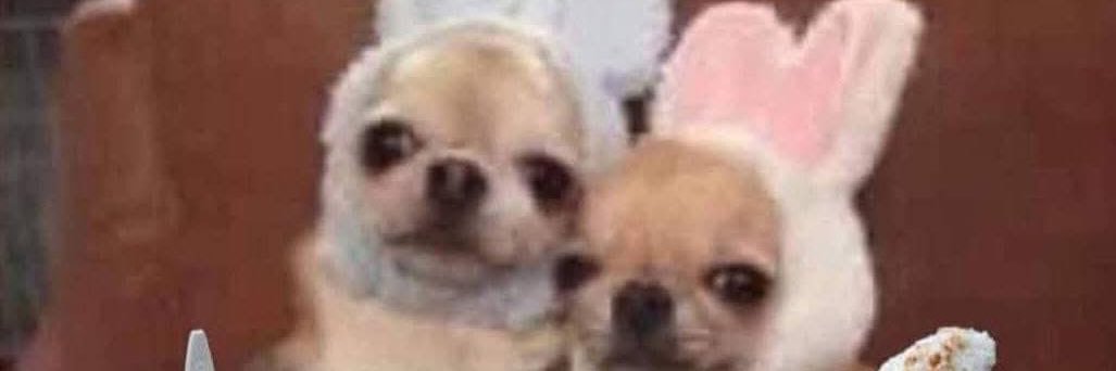 misskingk's profile banner image