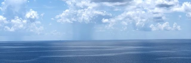 Hannah Patredis banner