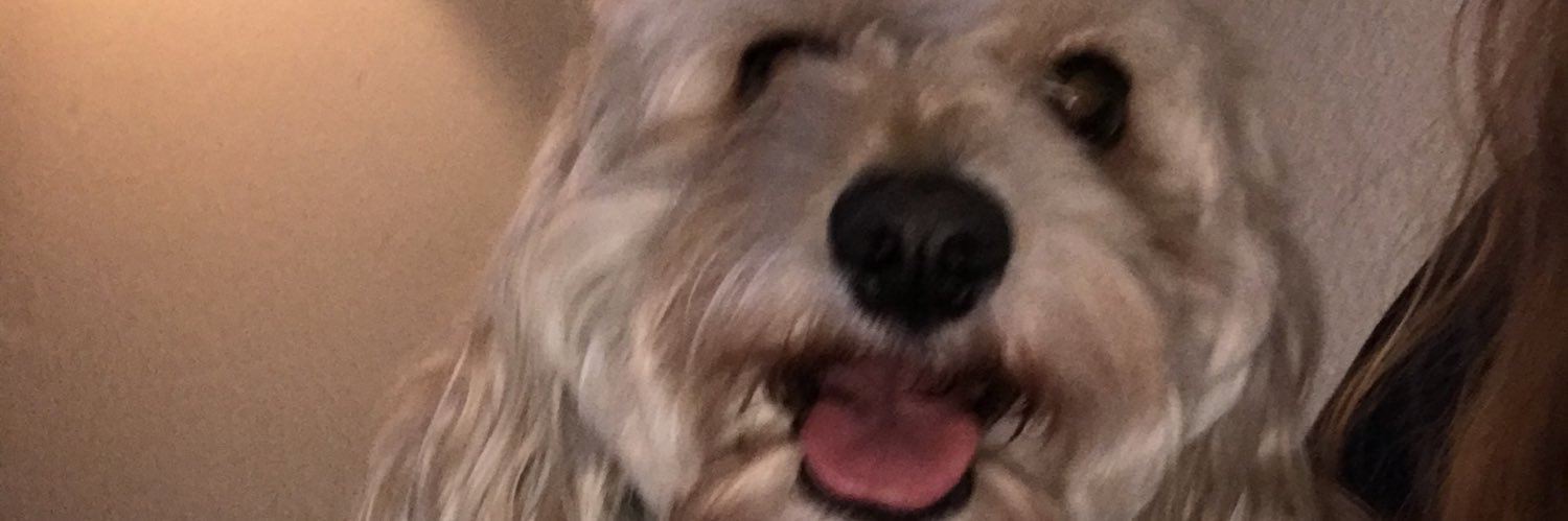 emilyyrod's profile banner image