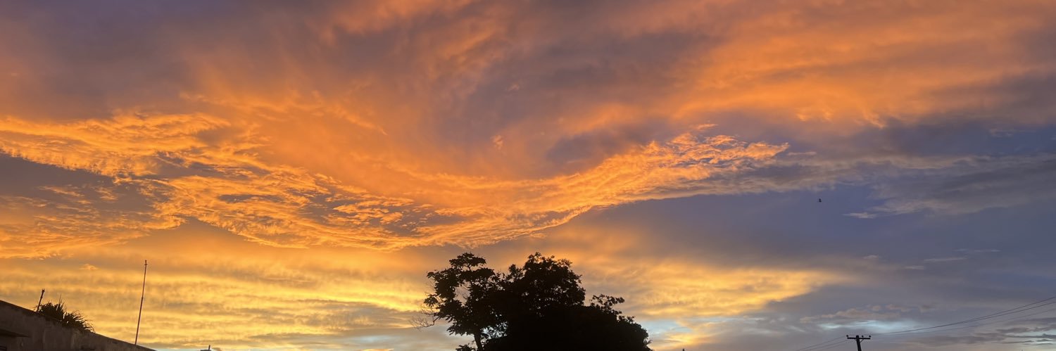 Nasshaly's profile banner image