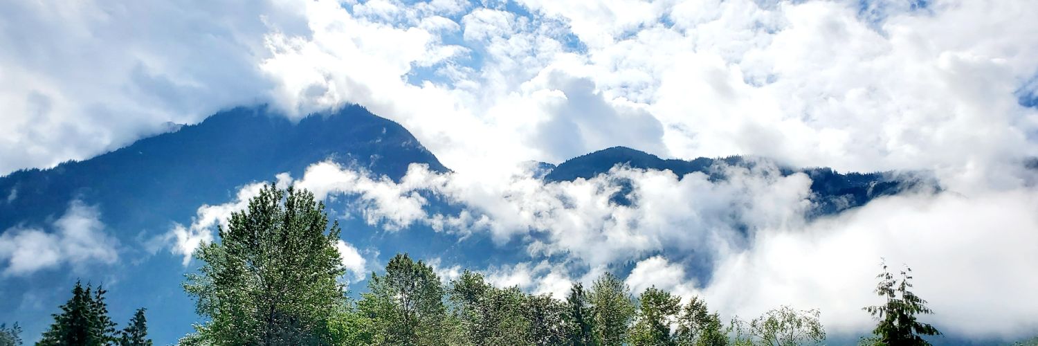 LKStromberg's profile banner image
