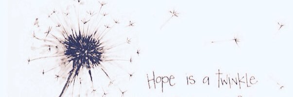 PertulaTulip's profile banner image
