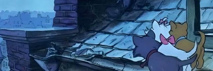 nikolr001's profile banner image