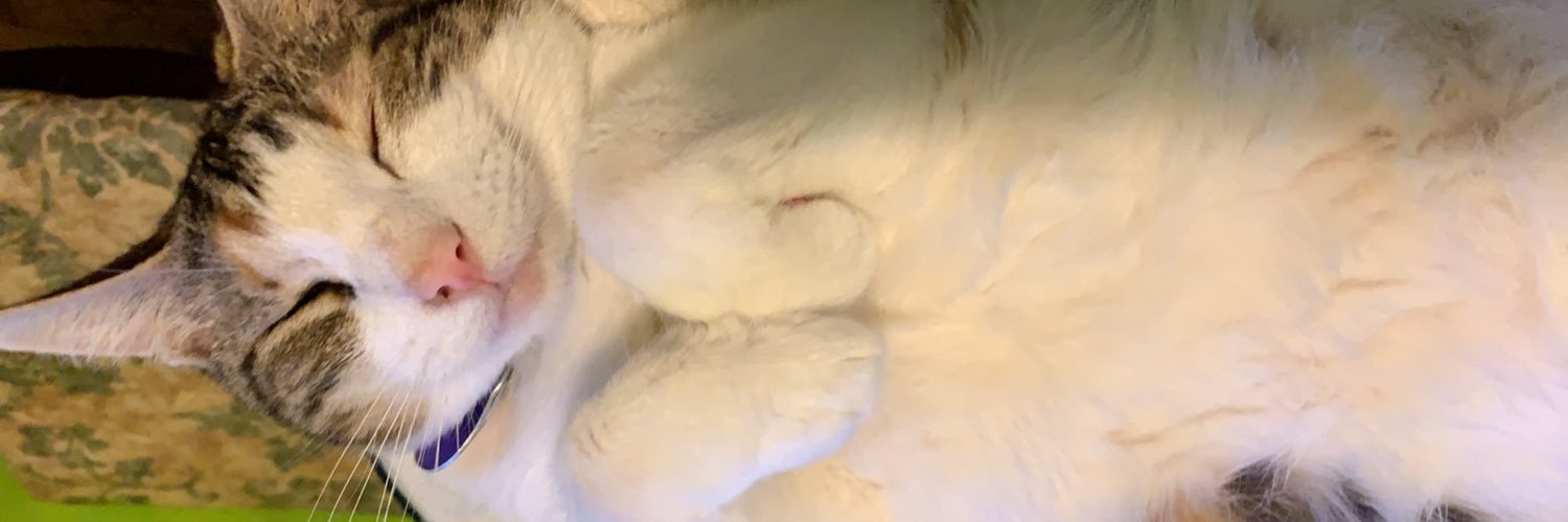 DrWeenz's profile banner image