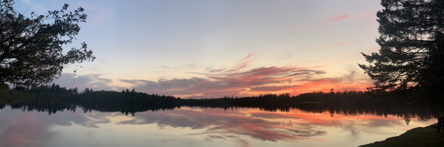 allypasc's profile banner image