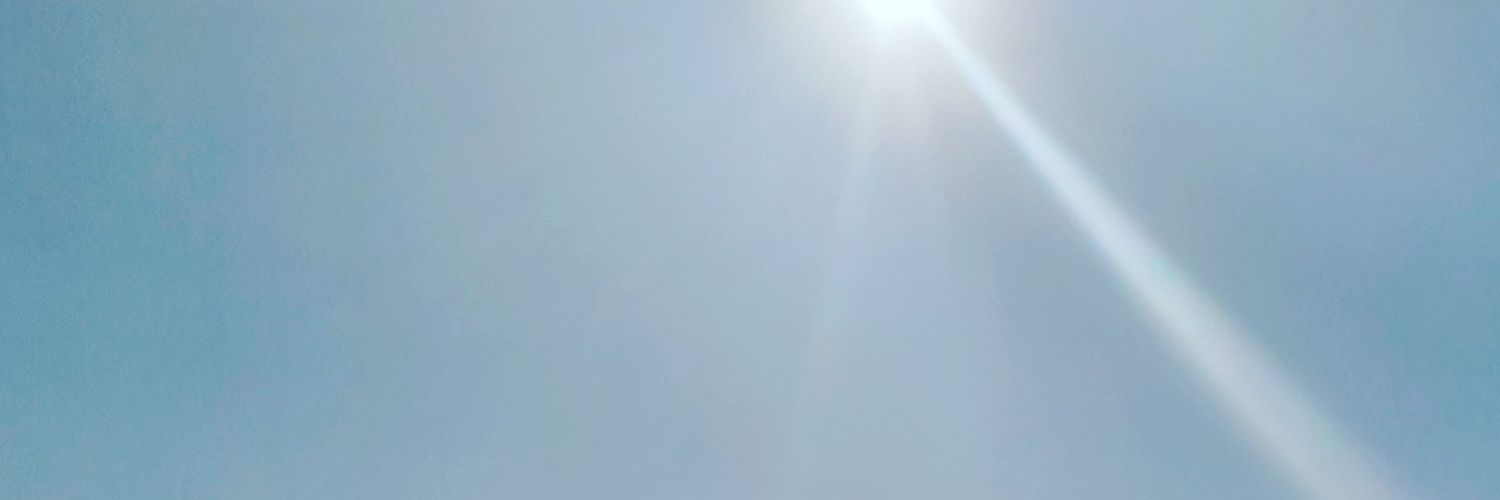 aovallel's profile banner image