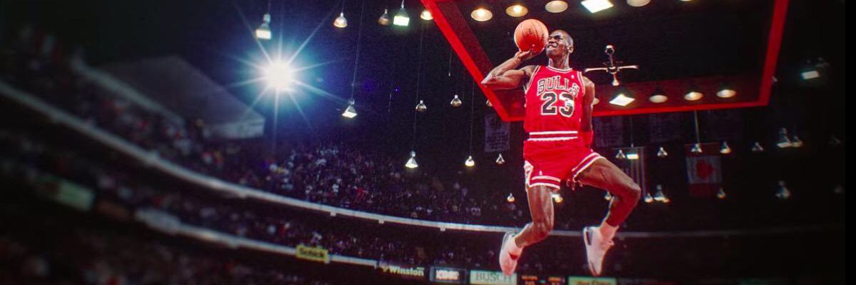 steinimal's profile banner image