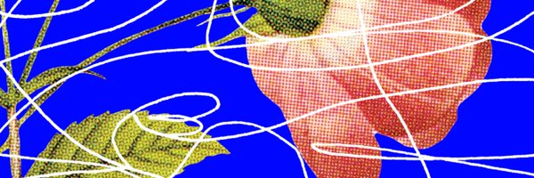stergraves Profile Banner