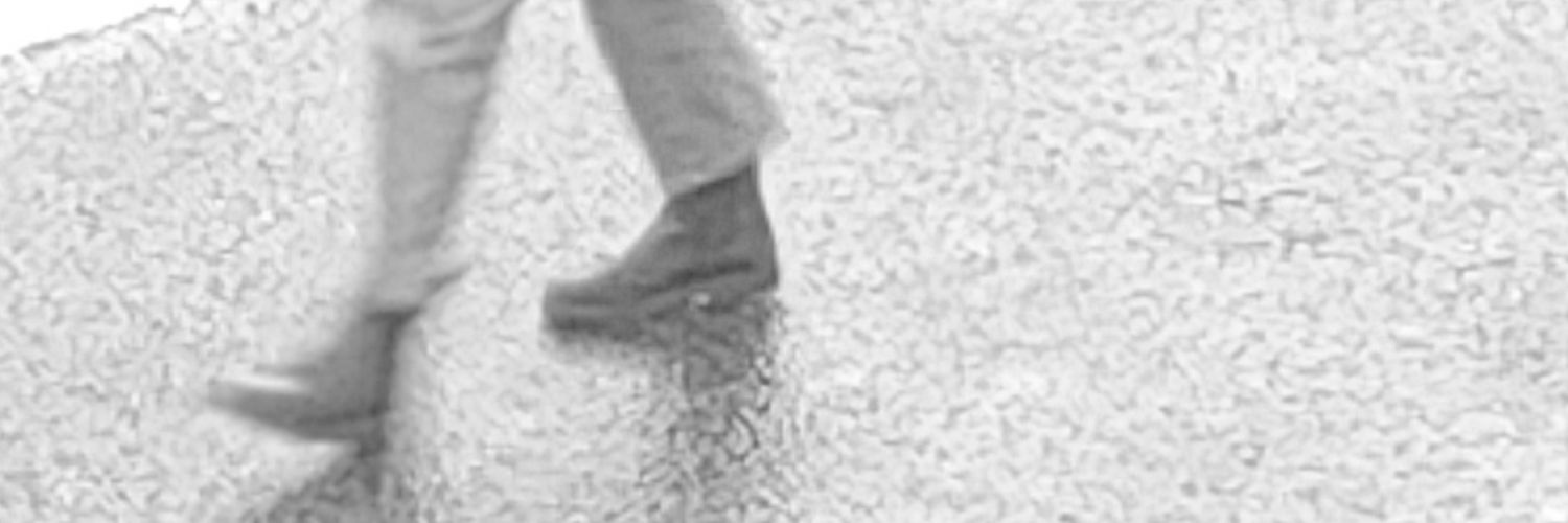 schlr's profile banner image
