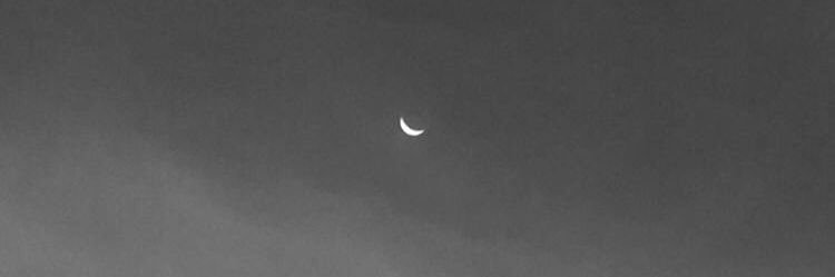 ale_patt's profile banner image